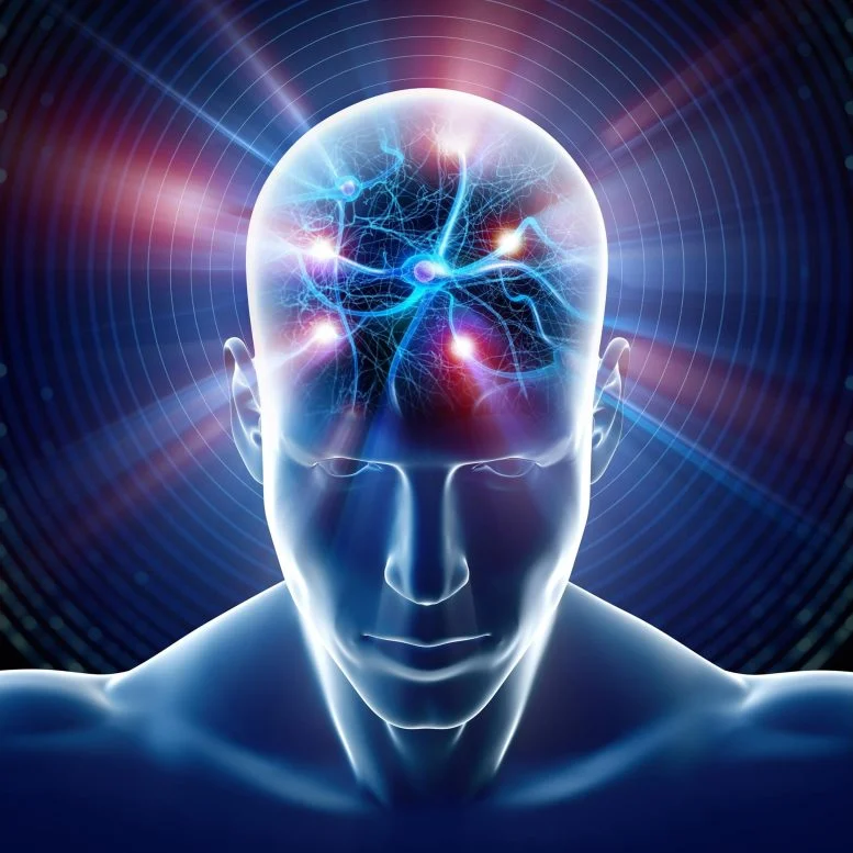 Brain Actives 11